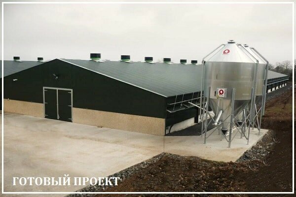 Этапы возведения птицефабрики от завода ВелесТент-брс